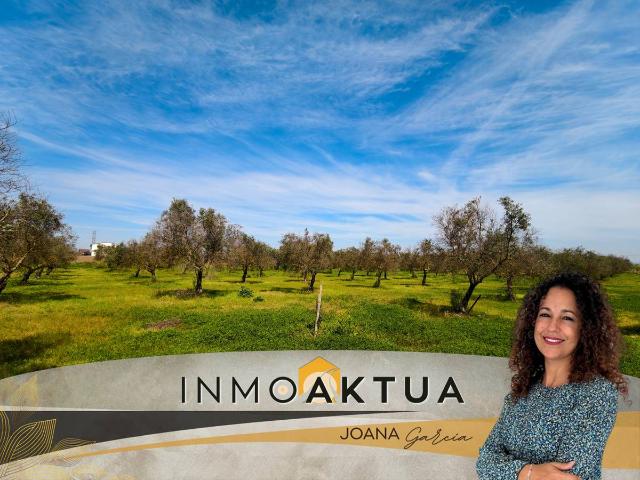 Terreno en venta en Lebrija, Andalucía