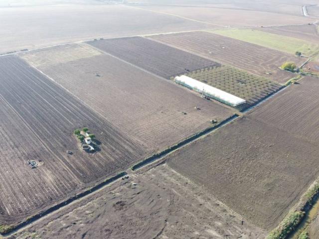 Terreno en venta en Lebrija, Andalucía