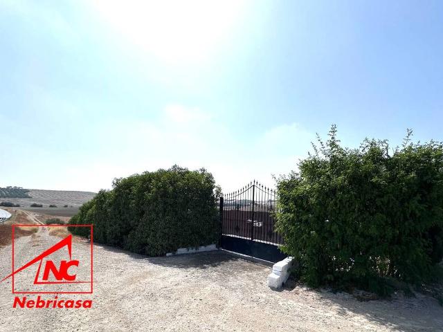 Terreno en venta en Lebrija, Andalucía