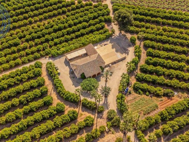 Terreno en venta en la Ribera Alta, Valencia
