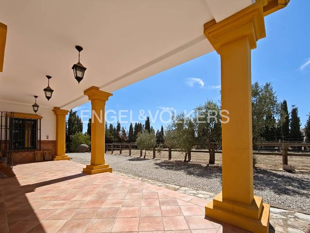 Terreno en venta en Llerena, Extremadura