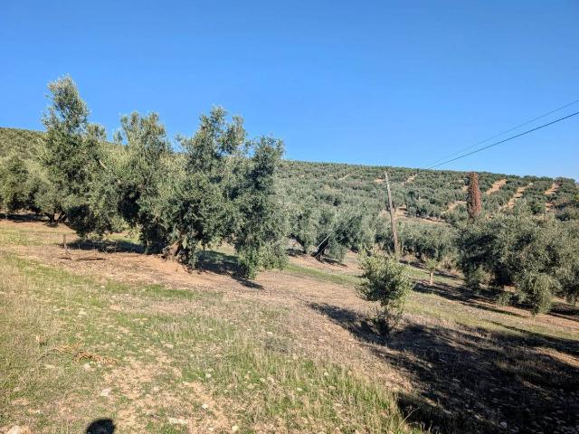 Terreno en venta en Barrio de la Alcazaba, Comarca de Loja