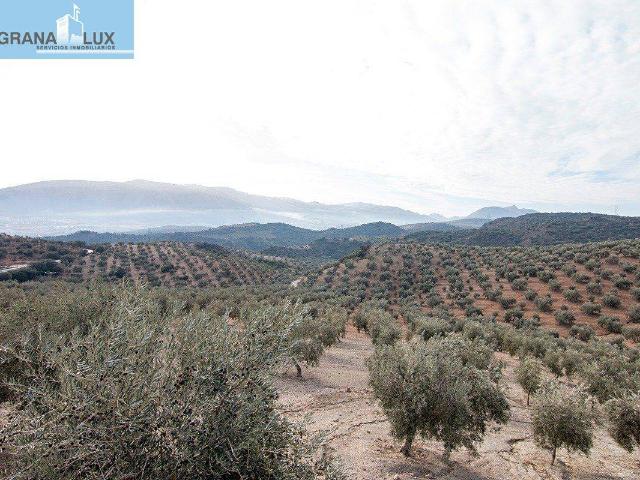 Terreno en venta en Barrio de la Alcazaba, Comarca de Loja