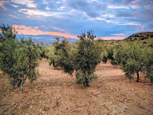 Terreno en venta en Barrio de la Alcazaba, Comarca de Loja