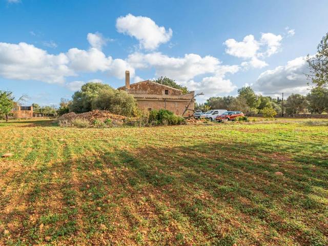 Terreno en venta en Palma, el Call