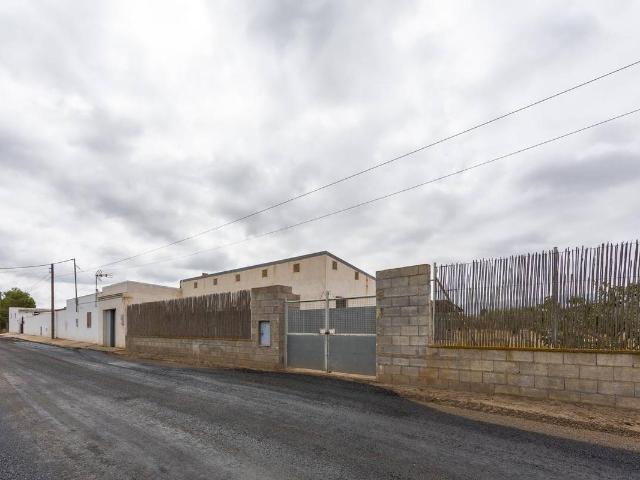 Terreno en venta en Los Gallardos, Andalucía