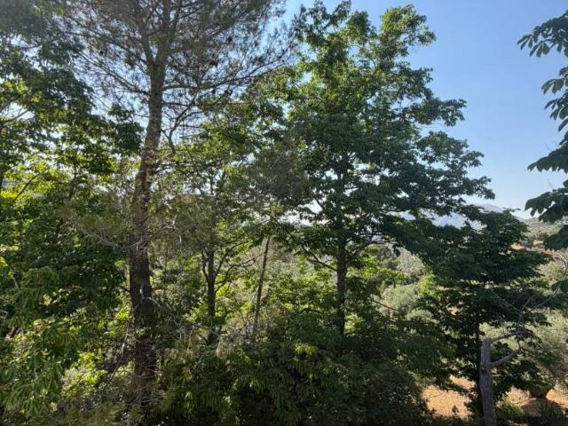 Terreno en venta en Los Villares, Andalucía