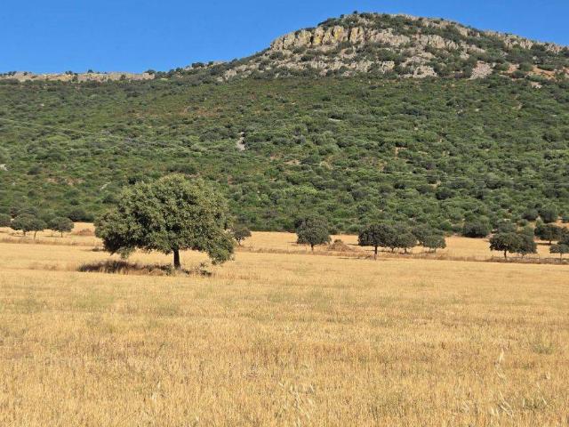 Terreno en venta en Los Yébenes