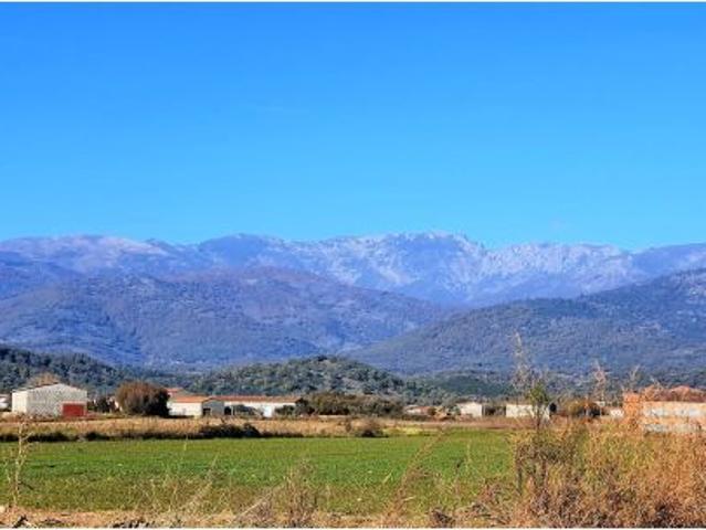 Local Comercial en venta en Losar De La Vera, Extremadura