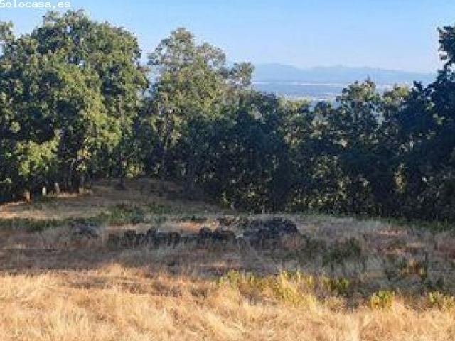 Local Comercial en venta en Losar De La Vera, Extremadura