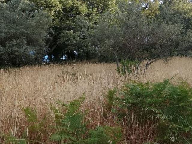 Local Comercial en venta en Madrigal De La Vera, Extremadura