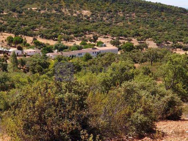 Terreno en venta en Madroñera, Extremadura