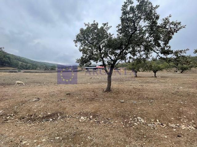 Chalet en venta en Madroñera