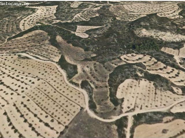 Local Comercial en venta en Bajo Aragón-Caspe / Baix Aragó-Casp, Aragón