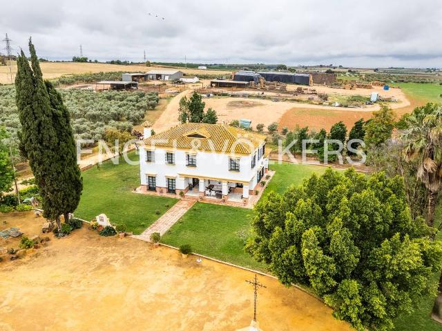 Terreno en venta en Mairena Del Alcor, Andalucía