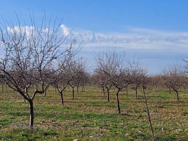 Terreno en venta en Malagón, Castilla-La Mancha