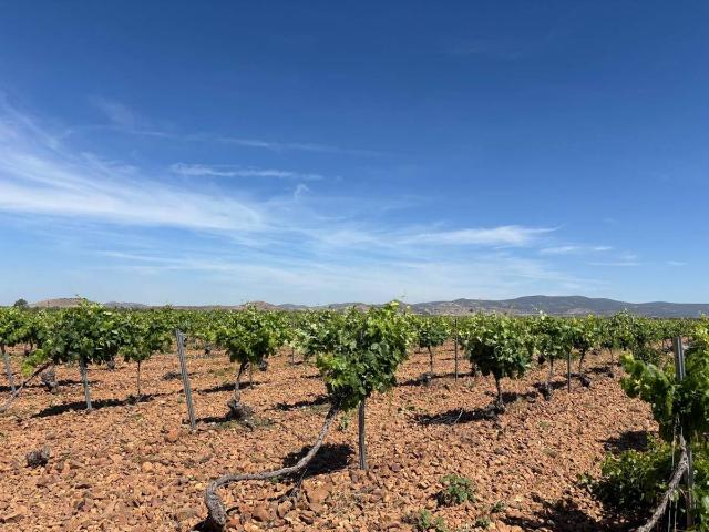 Terreno en venta en Malagón, Castilla-La Mancha