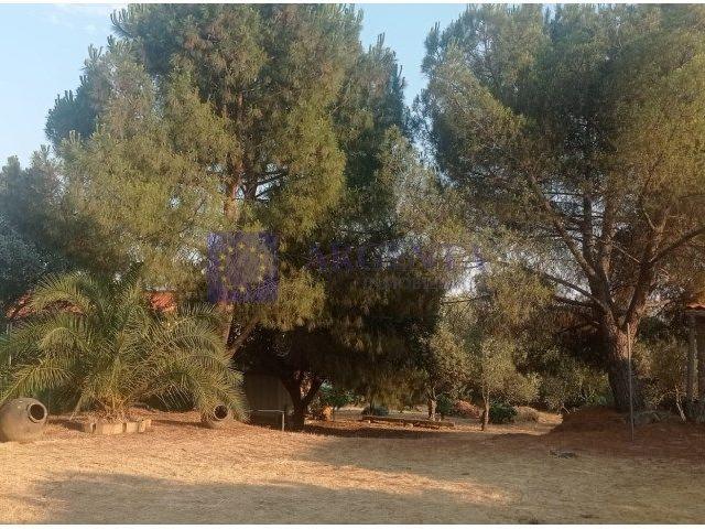 Terreno en venta en Malpartida De Cáceres