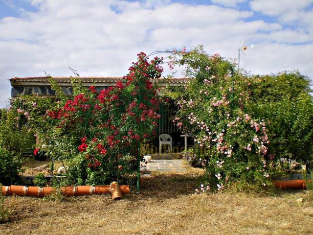 Terreno en venta en Malpartida de Cáceres