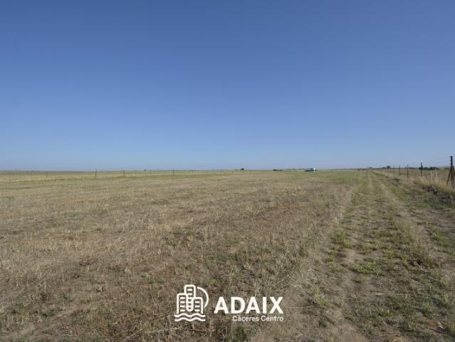 Terreno en venta en Malpartida De Cáceres