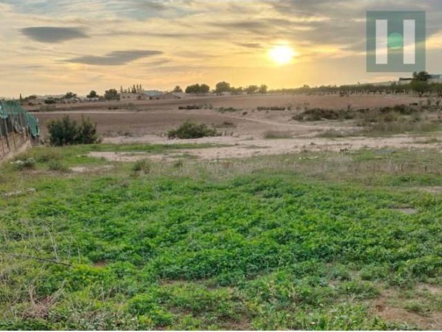 Terreno en venta en Torre-Pacheco, Campo de Cartagena y Mar Menor