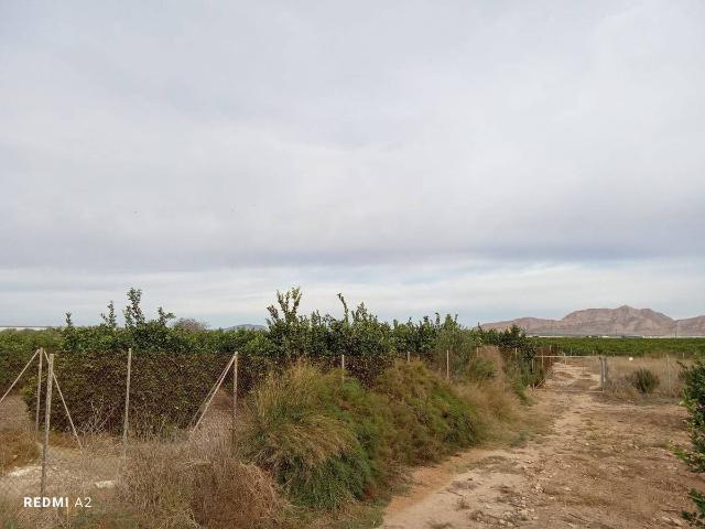 Terreno en venta en Torre-Pacheco, Campo de Cartagena y Mar Menor