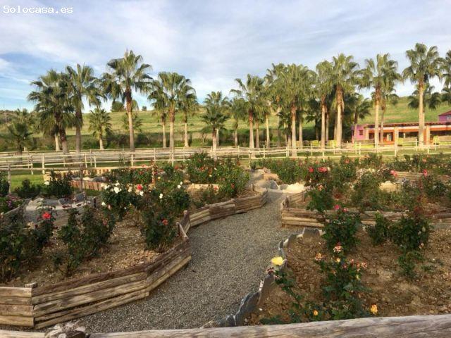 Local Comercial en venta en Divina Pastora, Costa del Sol Occidental