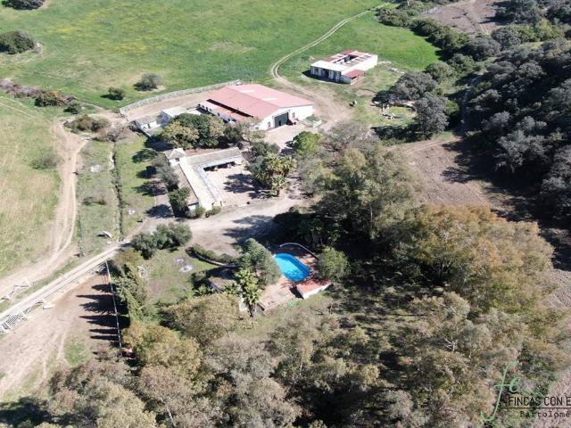 Terreno en venta en Marchena, Andalucía