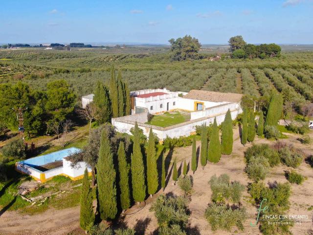 Terreno en venta en Marchena, Andalucía