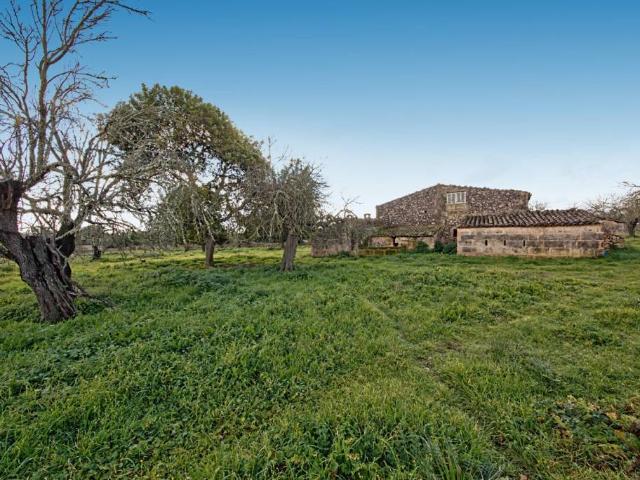 Terreno en venta en Pla de Mallorca, Baleares