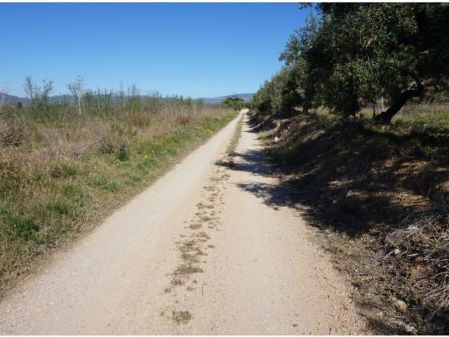 Local Comercial en venta en Baix Camp, Catalunya