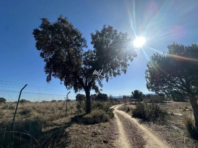 Terreno en venta en Mazarambroz