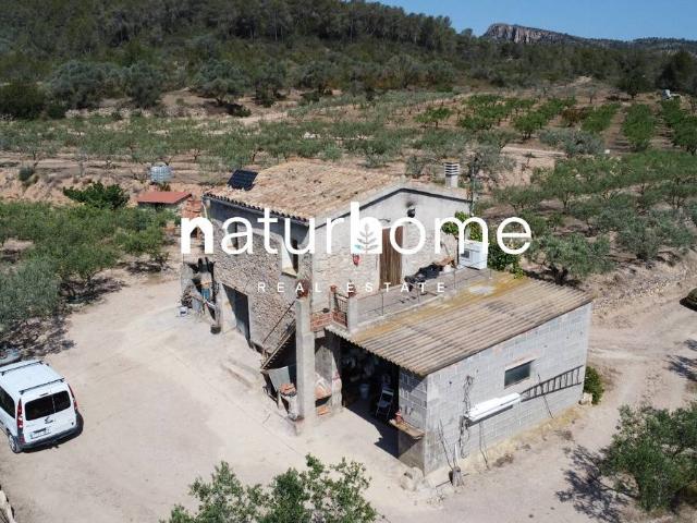 Terreno en venta en Ribera d'Ebre, Catalunya