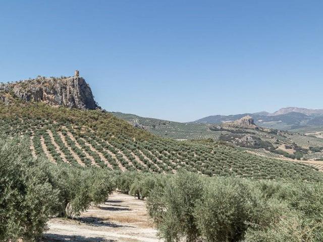 Terreno en venta en Moclín, Granada