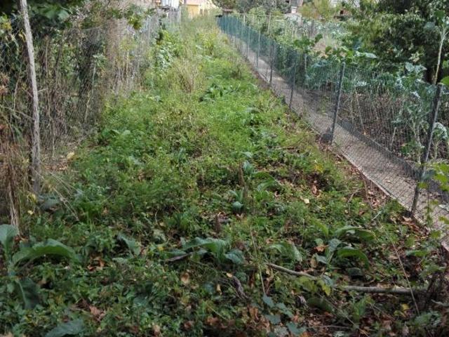 Terreno en venta en Monforte De Lemos, Monforte de Lemos