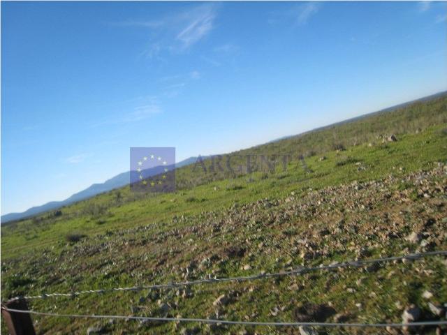Terreno en venta en Montánchez Terreno en venta en Montánchez