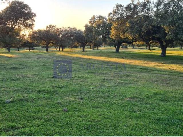 Terreno en venta en Montánchez Terreno en venta en Montánchez