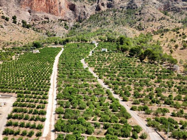 Terreno en venta en Obispo Rocamora, el Baix Segura / La Vega Baja