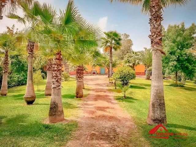 Terreno en venta en Montoro, Andalucía