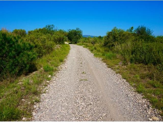 Local Comercial en venta en Mont-roig del Camp, Tarragona