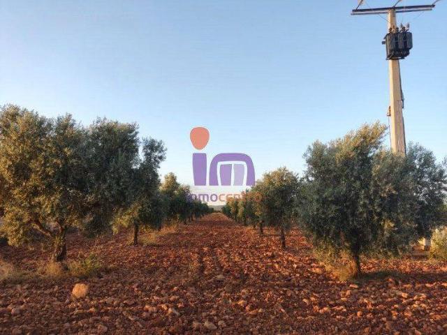 Terreno en venta en Moral De Calatrava, Castilla-La Mancha