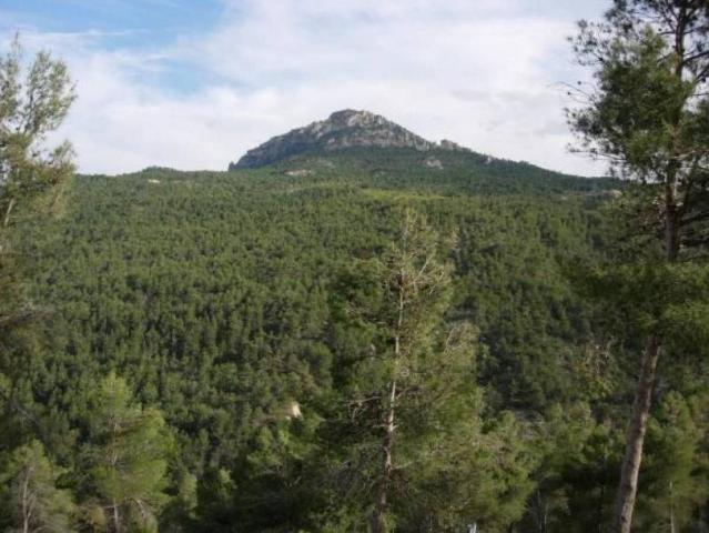Terreno en venta en Noroeste, Murcia