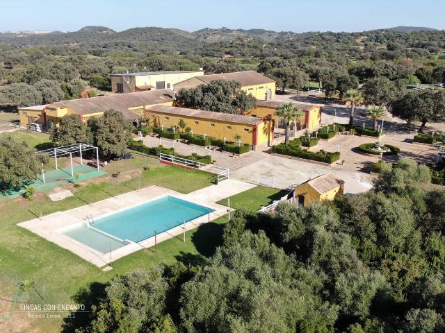 Terreno en venta en Morón De La Frontera, Andalucía