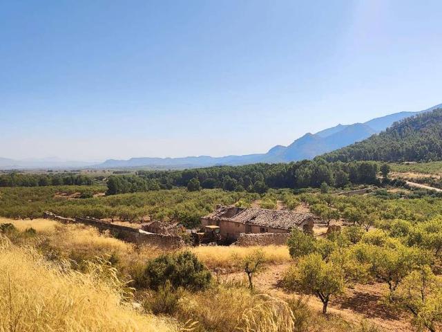 Terreno en venta en Mula