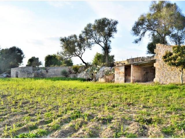 Local Comercial en venta en Pla de Mallorca, Baleares
