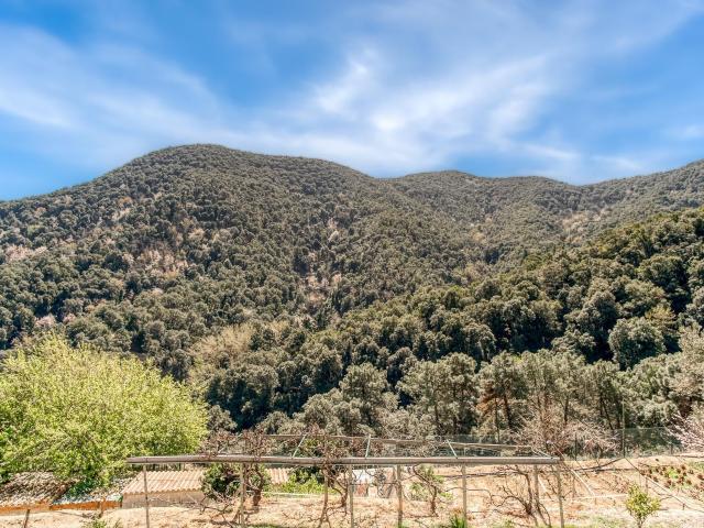 Terreno en venta en Tordera