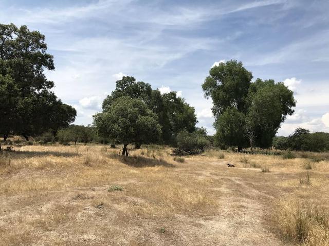 Terreno en venta en Nombela