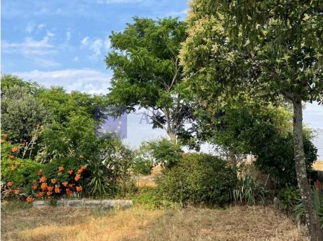 Terreno en venta en Cáceres, Extremadura