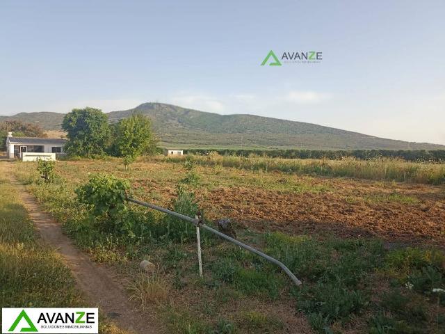 Terreno en venta en Mérida