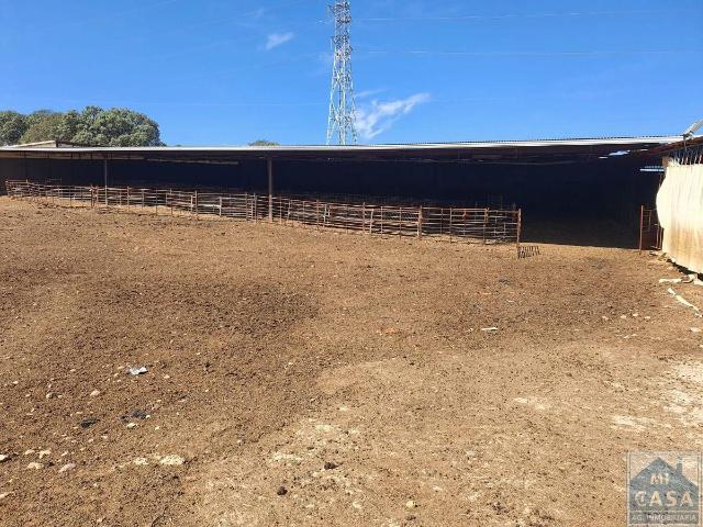 Terreno en venta en Mérida, Cruz Campo